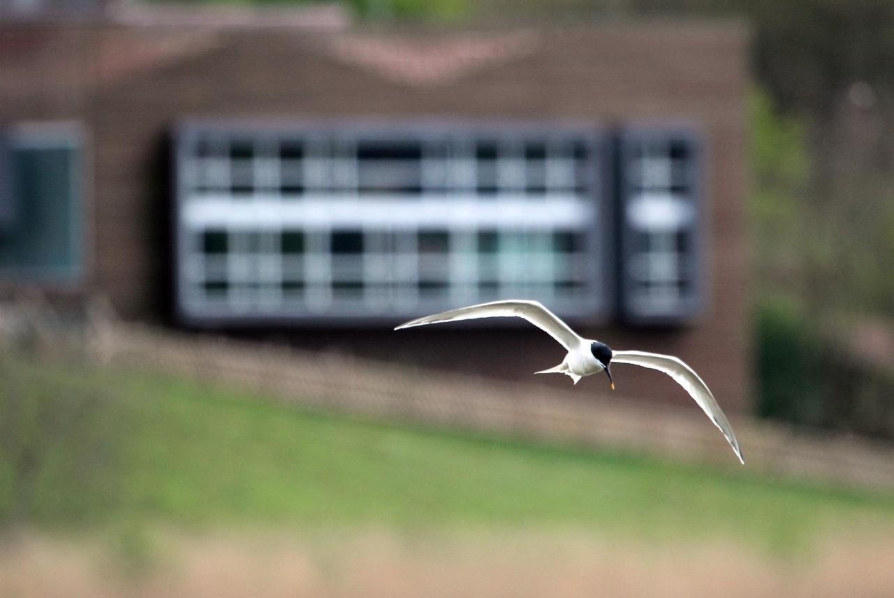 Hotel Urdaibai Bird Center Gautegiz Arteaga Esterno foto