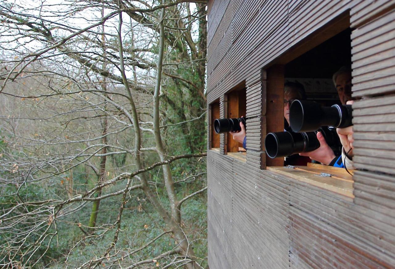 Hotel Urdaibai Bird Center Gautegiz Arteaga Esterno foto