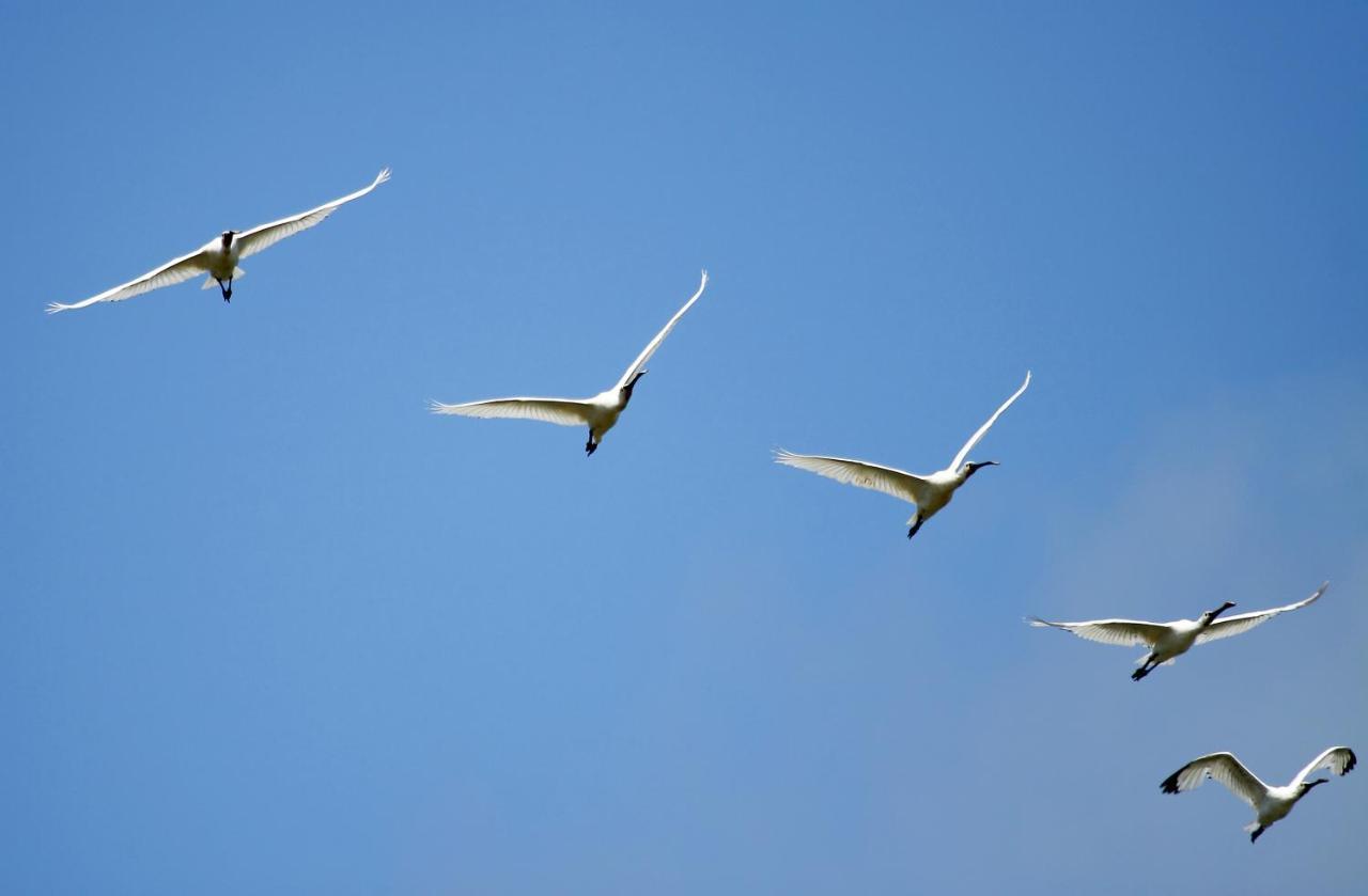 Hotel Urdaibai Bird Center Gautegiz Arteaga Esterno foto