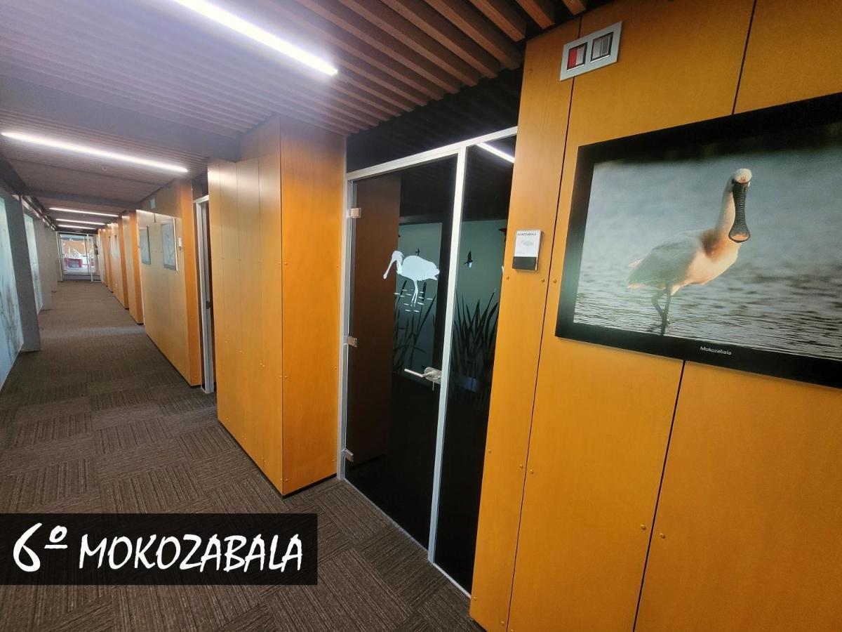Hotel Urdaibai Bird Center Gautegiz Arteaga Camera foto